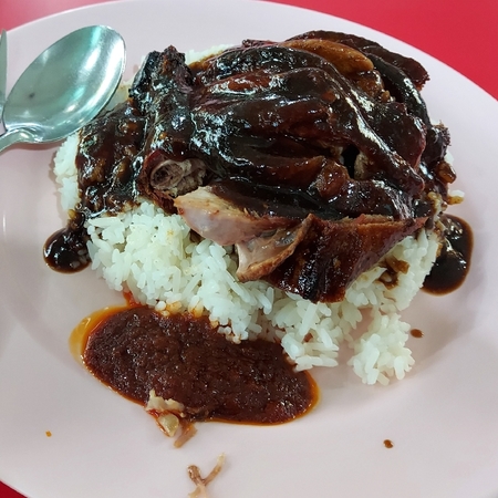 Roasted Duck Rice